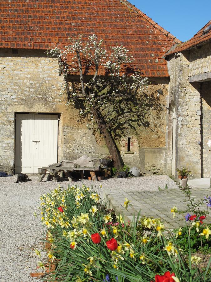 Brevands Chateau Le Colombier מראה חיצוני תמונה